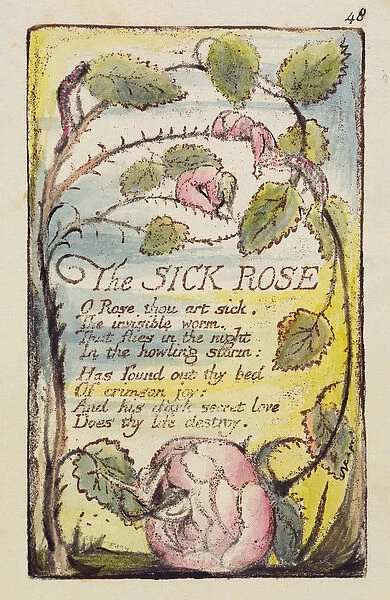 The Sick Rose, plate 48 from Songs of Innocence and of Experience