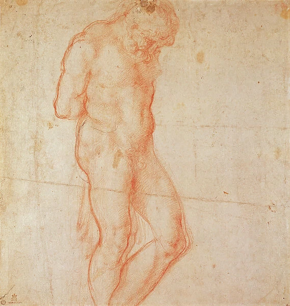 Study of a Nude (red chalk on paper)