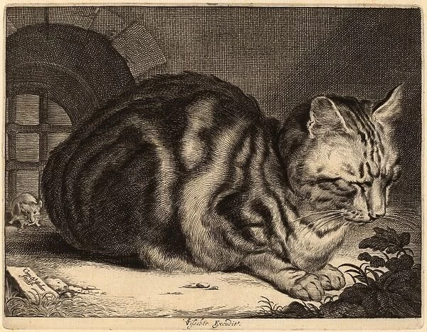 Cornelis Visscher (Dutch, 1629 - 1662), The Large Cat, c. 1657, engraving on laid paper