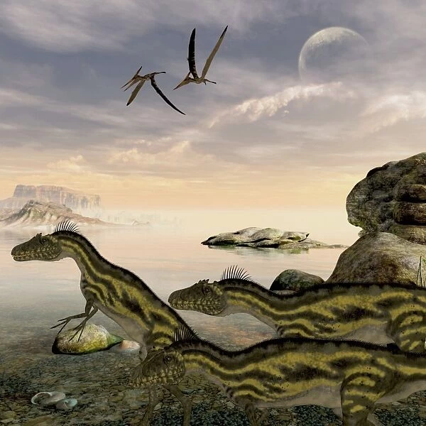 Deltadromeus dinosaurs search the shoreline for food to eat