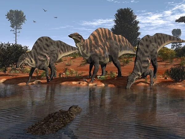 Ouranosaurus drink at a watering hole while a Sarcosuchus floats nearby