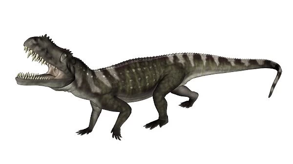 Prestosuchus dinosaur roaring