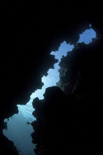 Sunlight illuminates a submerged grotto on a reef in the Solomon Islands