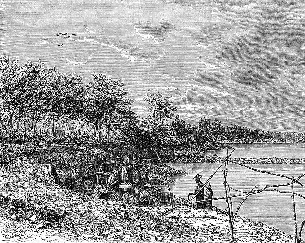 Diamond mining on the Vaal River, Free State, South Africa, 19th century. Artist: St de Dree