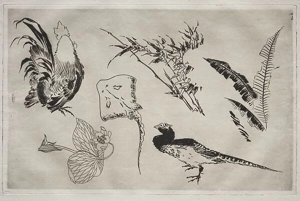 Dinner Service (Rousseau service): Roosters, skate, plants, etc. (no. 9), 1866. Creator