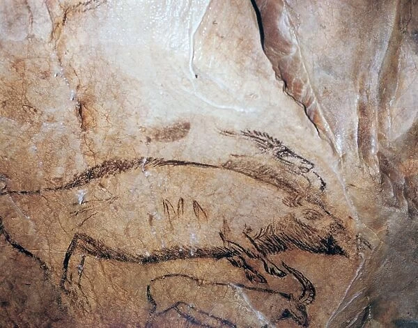 Paleolithic cave-painting of a bison and ibex