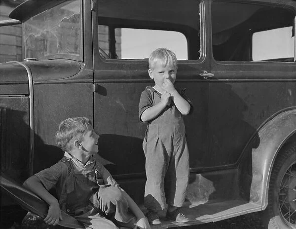 Possibly: Bean pickers children came from Kansas... near West Stayton, Marion County, Oregon, 1939 Creator: Dorothea Lange
