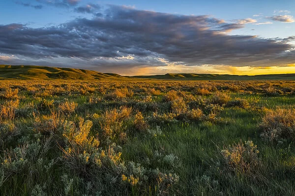 Grasslands National Park, Saskatchewan, Canada