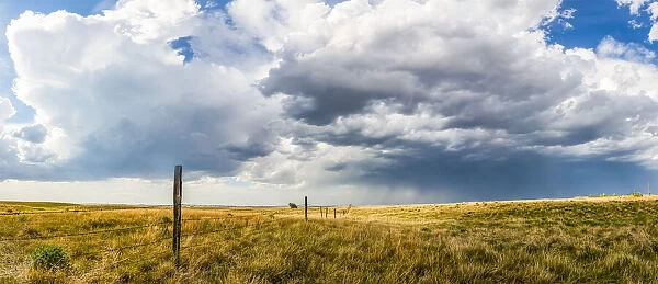 Vast fields of farmland on the prairies under a big sky with clouds and a storm in the distance; Val Marie, Saskatchewan, Canada