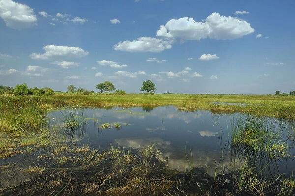 Kwando Wetland