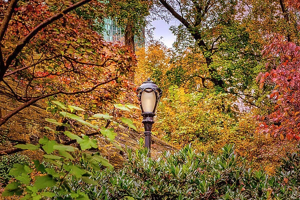 NY, NYC, Central Park, Lamppost surrounded by colorful foliage