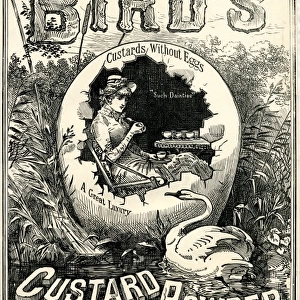 Birds Custard Powder advert