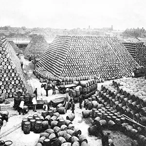 Brewing Industry Cooperage Yard early 1900s