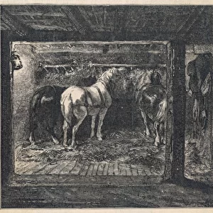 Coal / French Pit Ponies