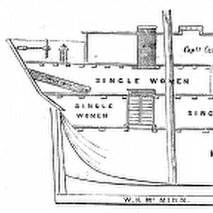 Cross-Section of the Emigrant Ship Bourneuf, 1852