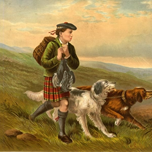 Gillie boy with dogs on grouse shoot, Scotland