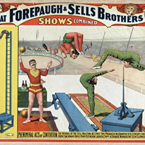The great Forepaugh & Sells Brothers shows combined. Phenome