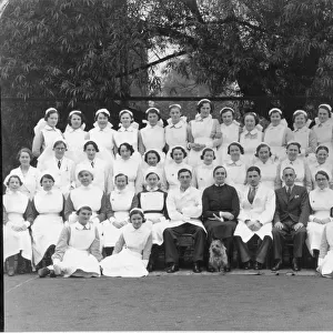 Group of nurses, doctors, senior nurse and dog