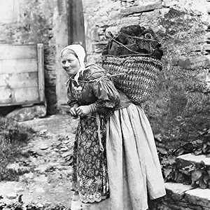 Lady carrying peat and knitting, Shetland Isles