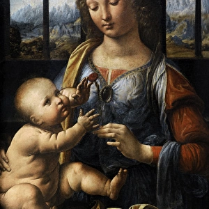 Leonardo da Vinci (1452 A?i? 1519). The Madonna of the Carn