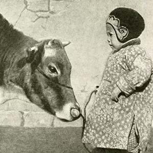 Little child with cow, Ningbo, China, East Asia