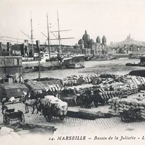 Marseille, France - Bassin de la Joliette
