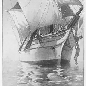 Mary Celeste / Fosdyk 1872