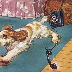 Pup Upsets Table, Phone Date: 1948