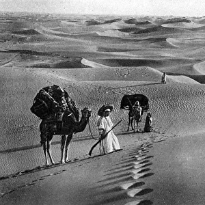 Scene in the Libyan or Western Desert, Egypt
