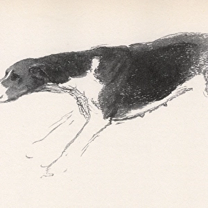 Sketch of a hound in action