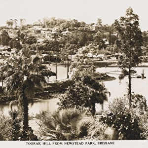 Toorak Hill from Newstead Park, Brisbane, Australia