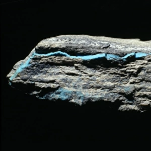 Turquoise vein in shale