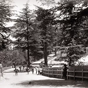 View of The Mall, Simla, Shimla, India, c. 1860 s