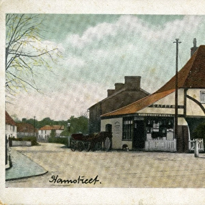 The Village, Hamstreet, Kent