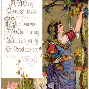 Woman picking grapes on a Christmas card