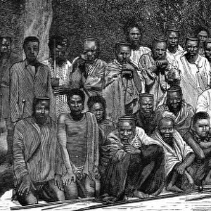 Zulu wars. The restoration of Cetshwayo