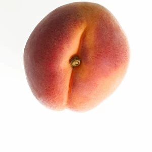 Fruit - Apricot Studio
