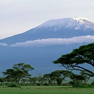 Mt Kilimanjaro in Tanzania - taken from Amboseli National Park - Kenya JFL14183