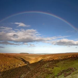 Rainbow - over moorland - autumn - Allendale Fells - Northumberland - England