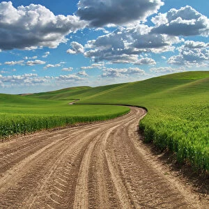 USA, Washington State, Palouse, Country Backroad through Spring wheat fields Date: 19-06-2019