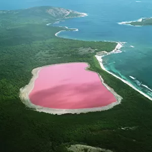 Western Australia / Lake Hillier - Archipelago of the Recherche Middle Island. Reason for colour remains a mystery - Pink colour is not due to prescence of algae such as Dunaliella salina, unlike other salt lakes on mainland Australia