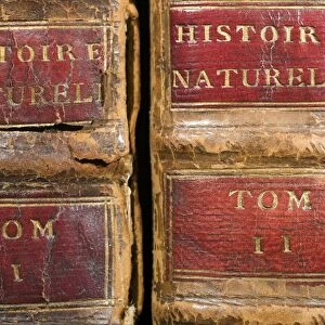 1749 Buffon Histoire Naturelle first eds