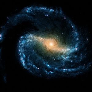 Barred spiral galaxy NGC 1300