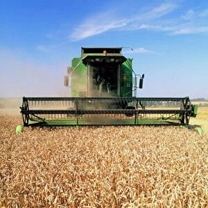 Combine harvester working in a wheat field