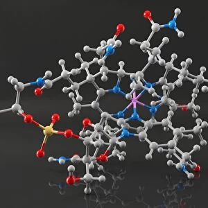 Molecule of vitamin B12, artwork