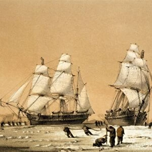 Ross Arctic search expedition, 1848-9 C016 / 4490