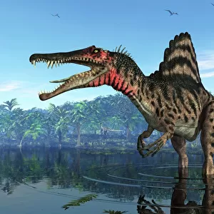 Spinosaurus dinosaur, artwork