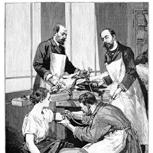 Tuberculosis transfusion, 19th century