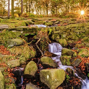 Burbage Brook, autumn sunrise, golden leaves and waterfall, Padley Gorge, Peak District