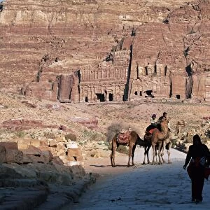Camels in front of rock cut tombs at Nabatean archaeological site